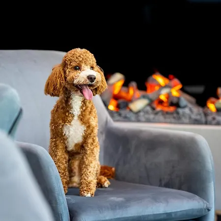 Aqua By Grano Aparthotel Szklarska Poręba