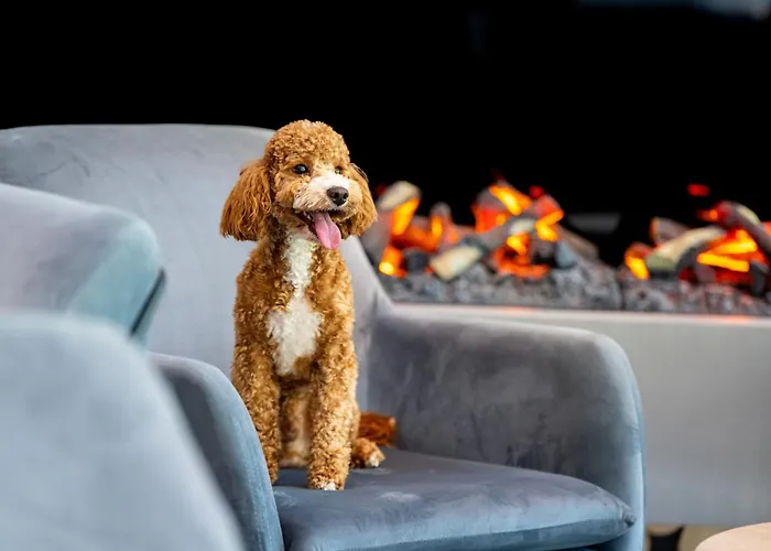 Aqua By Grano Lägenhetshotell Szklarska Poręba