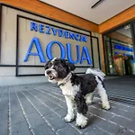 Aqua By Grano Szklarska Poreba