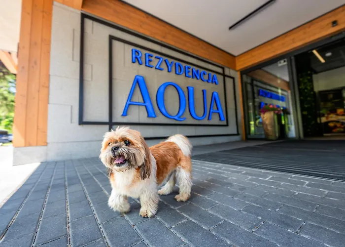 Aqua By Grano 4* Schreiberhau